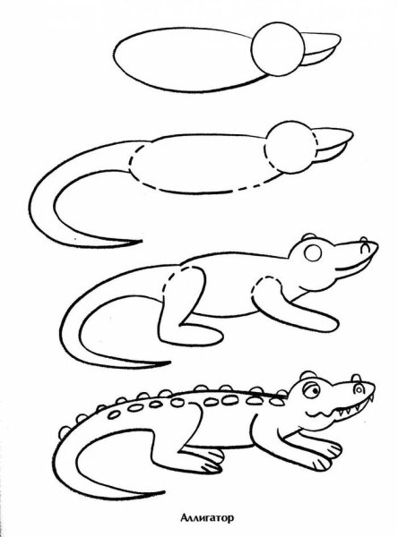 Как нарисовать ящерицу карандашом поэтапно для детей