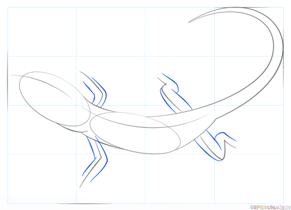 Пошаговое рисование ящерицы