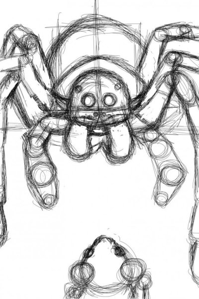 Тарантул для рисования