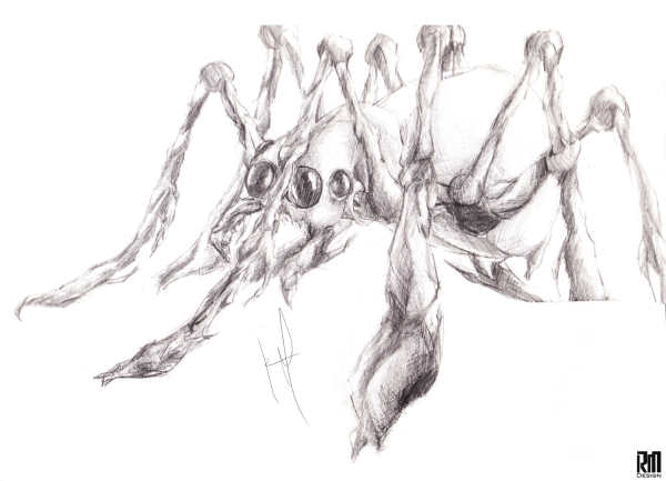 Паук рисунок карандашом поэтапно