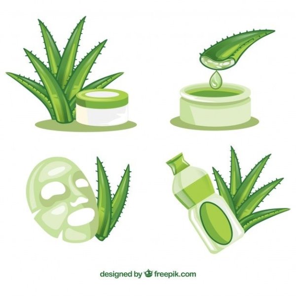 Aloe Vera коллекция