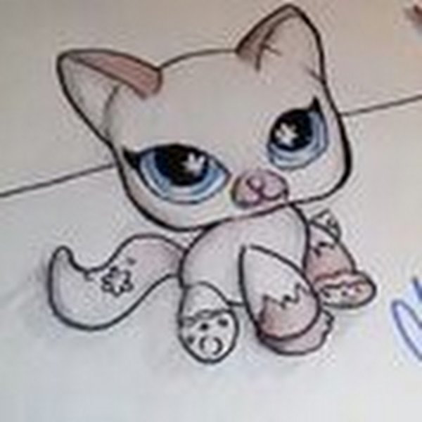 Красивые рисунки лёгкие лпс