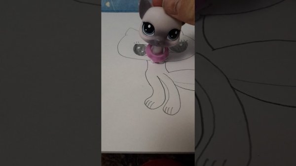 Рисунки для срисовки животные цветные для новичков