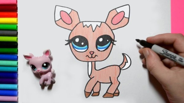 Уроки рисования для детей пет шоп