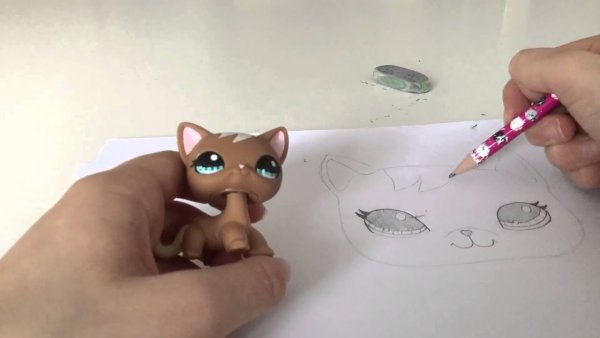 Рисуем подарок лпс