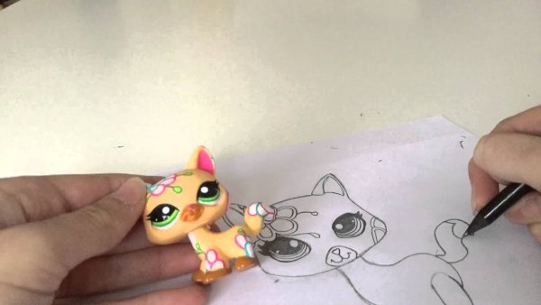 Зарисовка упаковки лпс данными