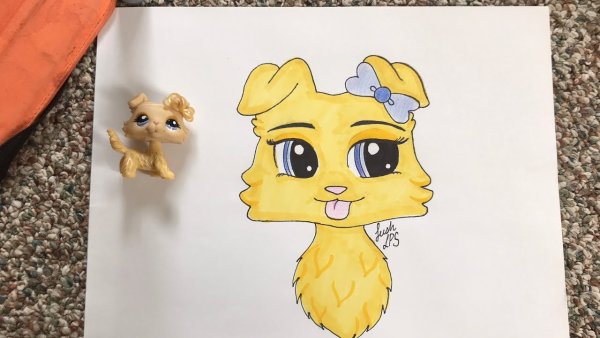 Лпс рисунки карандашом для начинающих