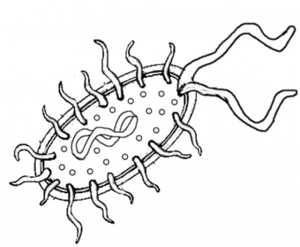 Микробы раскраска