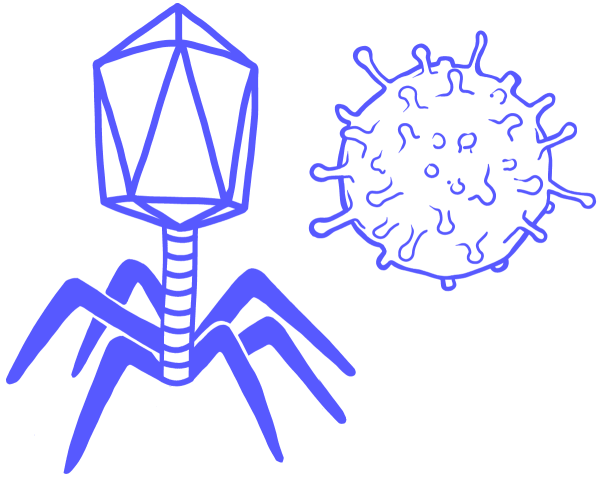 Вирус карандашом