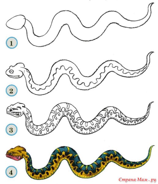 Поэтапное рисование змеи