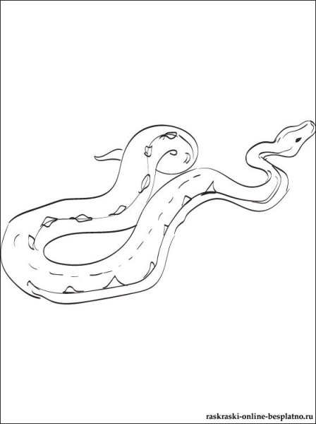 Песчаный удавчик рисунок