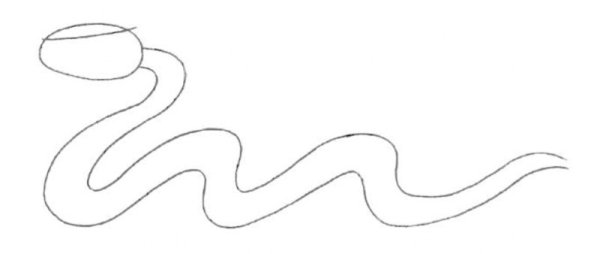 Рисование мудрая змейка