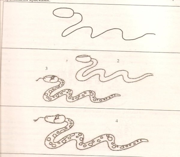 Рисование змеи в подготовительной группе