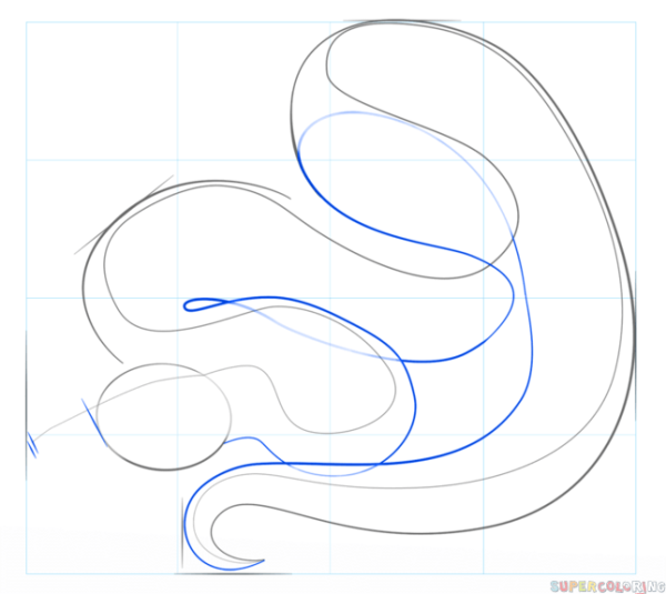 Рисунок питона поэтапно