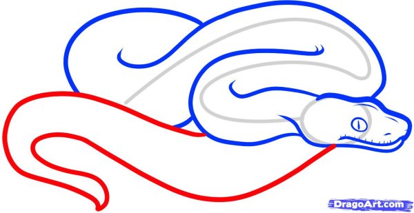 Как нарисовать удавчика