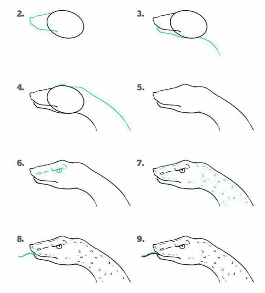 Змея туториал