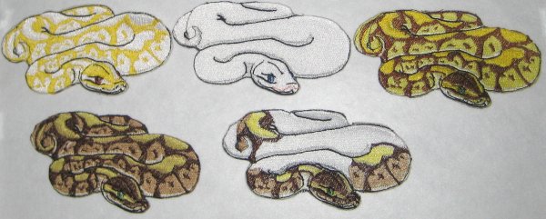 Королевский питон рисовать