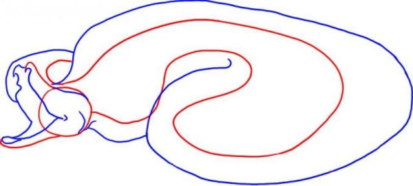 Питон рисовать легко