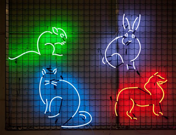Неоновые вывески животн