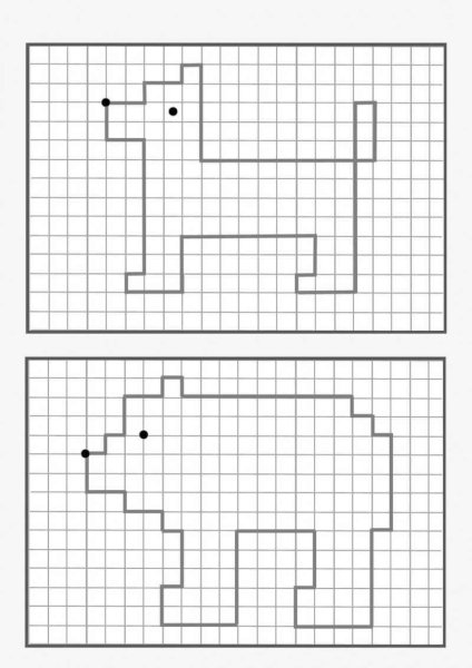 Граф диктант белка