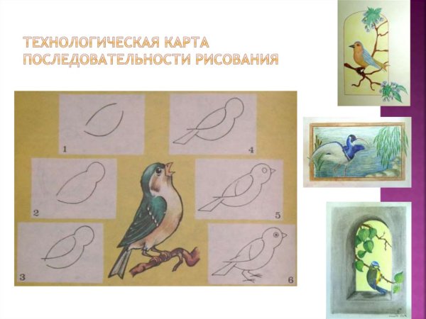 Карты последовательность рисования