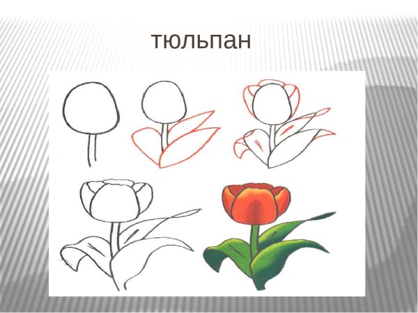 Изо цветы поэтапное рисование