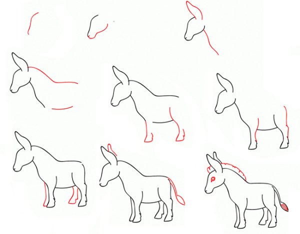 Нарисовать ослика поэтапно