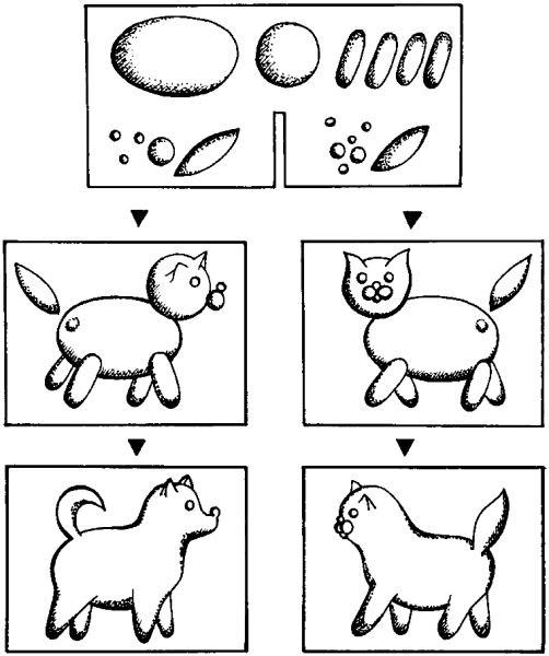 Схема лепки животных в старшей группе