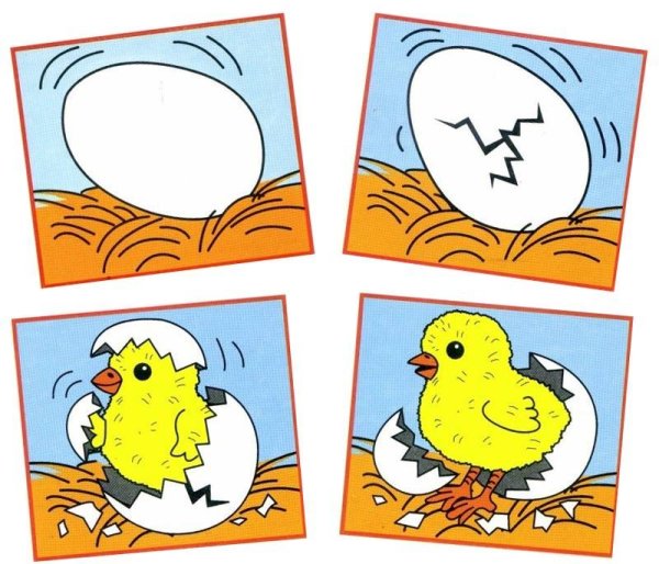 Последовательность картинок