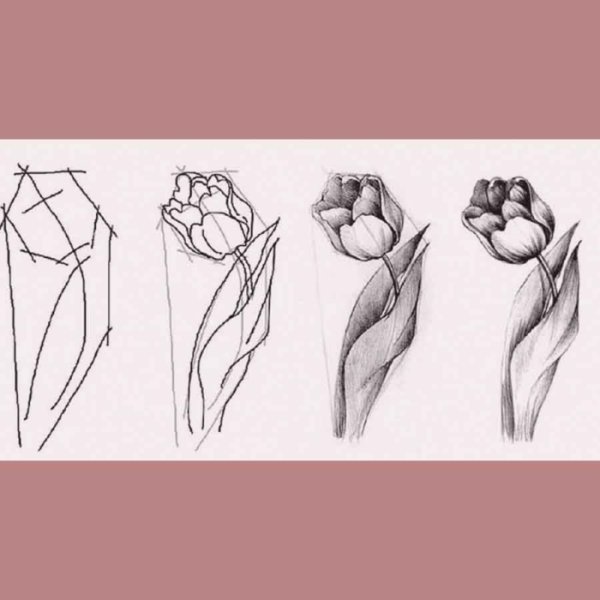 Рисунки карандашом цветы для начинающих