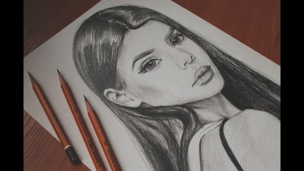 Портрет карандашом Мария Вей