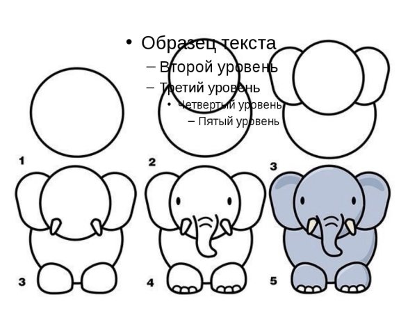 Поэтапное рисование попугая