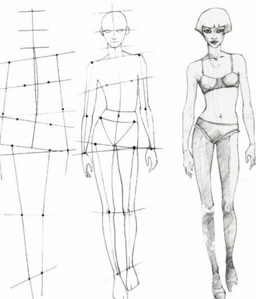 Пропорции женской фигуры для рисования