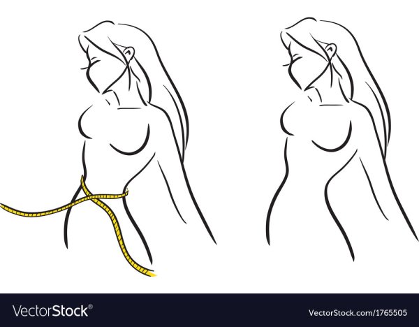 Силуэт женской груди