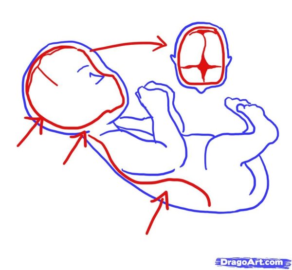 Новорожденный карандашом поэтапно