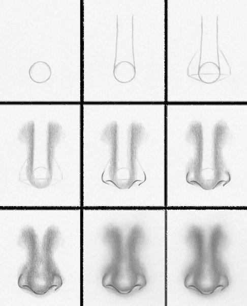 Схематическое рисование носа