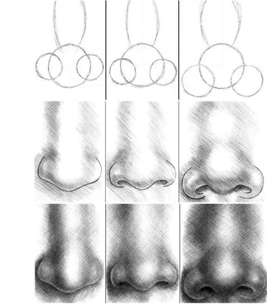 Поэтапность рисования носа