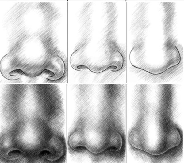 Нос рисунок в цвете