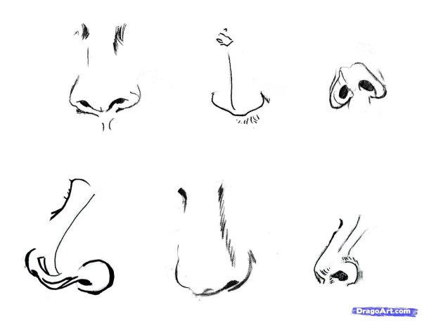 Нос для срисовки