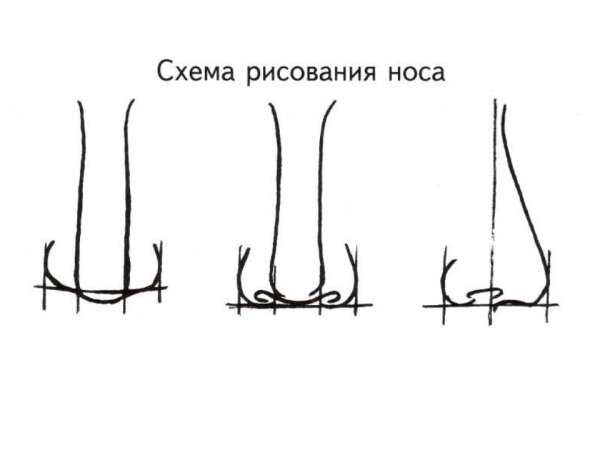 Схема рисования носа карандашом