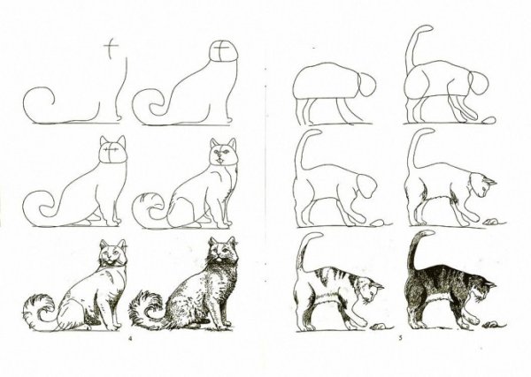 Раскадровка эскизы