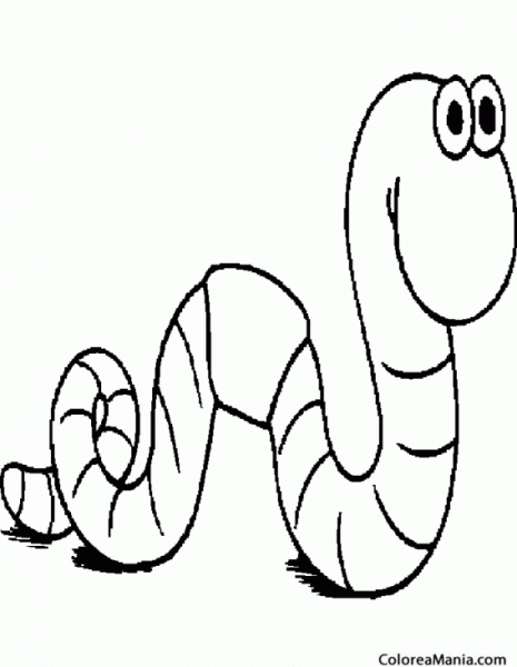 Червяк контур