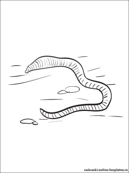 Черви раскраска