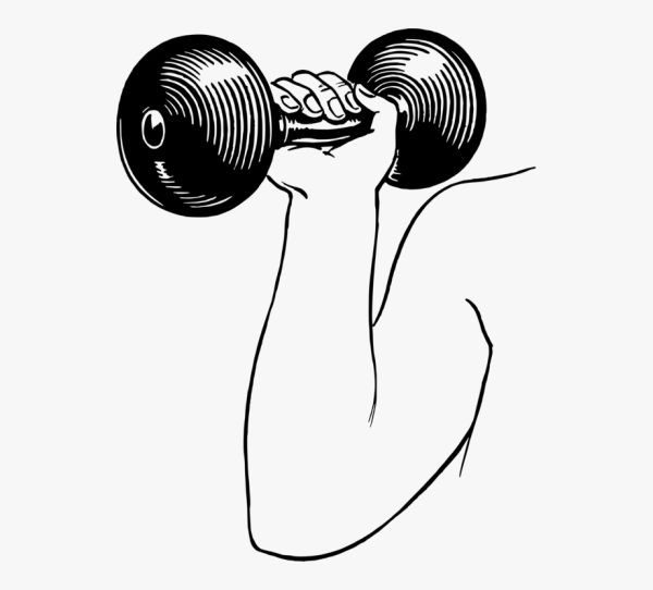 Трафарет гантели