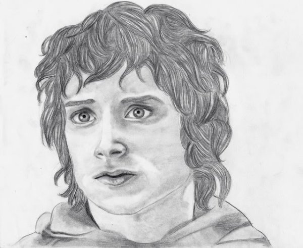 Властелин колец Фродо Бэггинс портрет