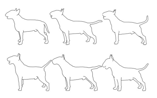 Бультерьер контур