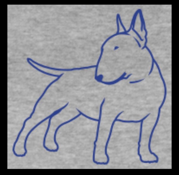 Как нарисовать бультерьера поэтапно