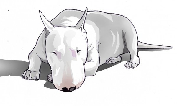 Бультерьер арт