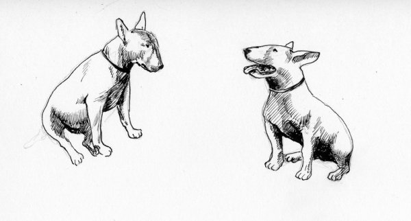 Эрнест Сетон-Томпсон «снап: история бультерьера»