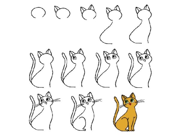 Поэтапное рисование кота